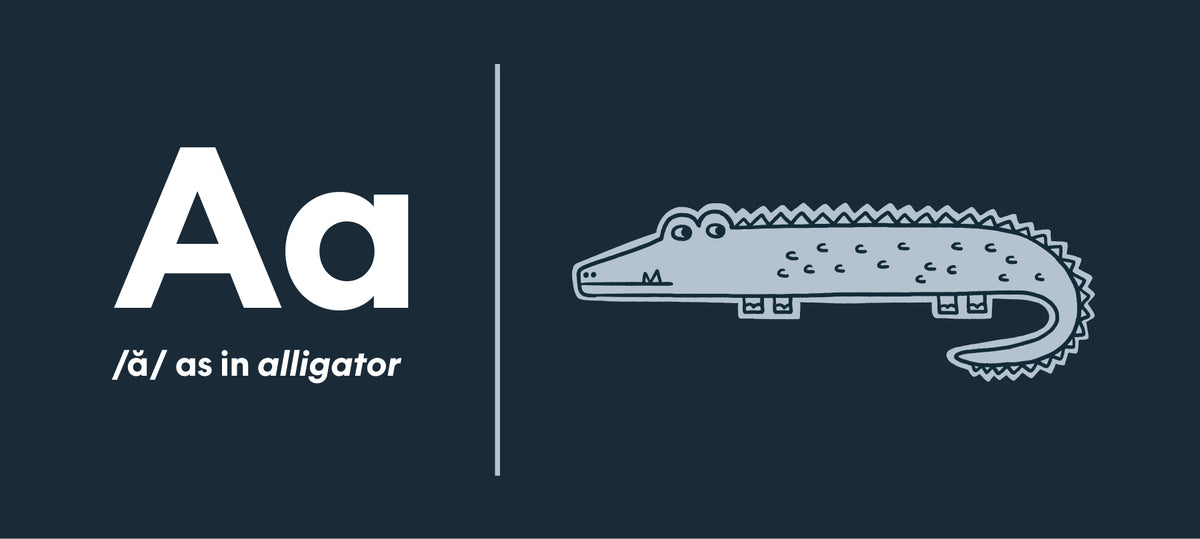 A workbook page showing Aa and the sound /ă/ as in alligator, beside a drawing of an alligator.